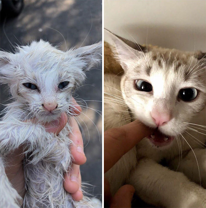 Cuando la rescat&eacute; hace un a&ntilde;o y ahora mostrando su gratitud